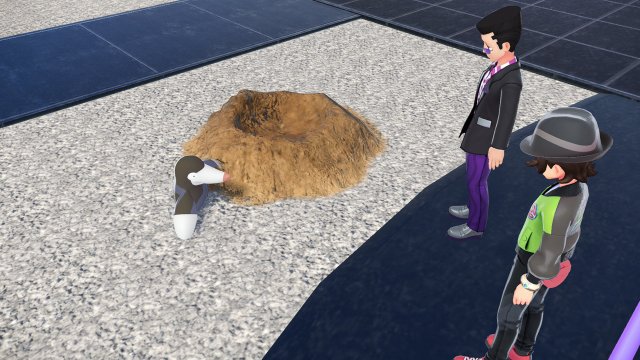 86. ¿Quién ha destrozado el jardín?