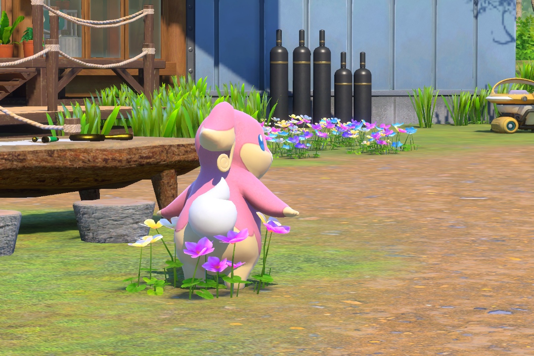Fotografía de Audino de ★★★ en New Pokémon Snap