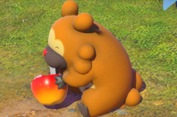 Fotografía de Bidoof de ★★ en New Pokémon Snap