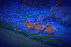 Fotografía de Bidoof de ★★★ en New Pokémon Snap