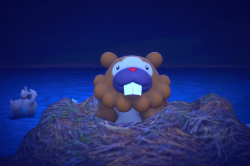 Fotografía de Bidoof de ★★★★ en New Pokémon Snap