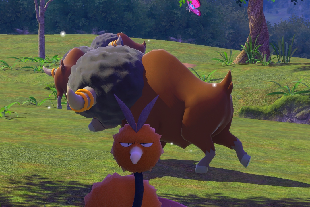 Fotografía de Bouffalant de ★ en New Pokémon Snap