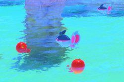 Fotografía de Finneon de ★ en New Pokémon Snap