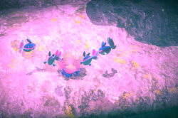 Fotografía de Finneon de ★★★ en New Pokémon Snap