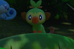Fotografía de Grookey de ★ en New Pokémon Snap