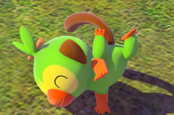 Fotografía de Grookey de ★★★★ en New Pokémon Snap
