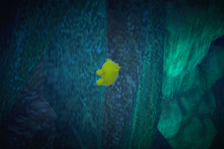 Fotografía de Joltik de ★ en New Pokémon Snap