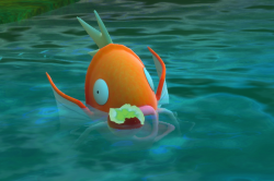 Fotografía de Magikarp de ★★★ en New Pokémon Snap