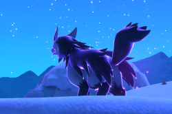 Fotografía de Mightyena de ★ en New Pokémon Snap
