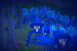 Fotografía de Murkrow de ★ en New Pokémon Snap