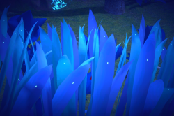 Fotografía de Murkrow de ★★★★ en New Pokémon Snap