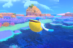 Fotografía de Pelipper de ★★ en New Pokémon Snap