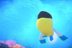 Fotografía de Pelipper de ★★★ en New Pokémon Snap