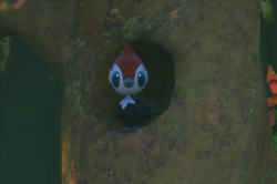 Fotografía de Pikipek de ★ en New Pokémon Snap