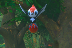 Fotografía de Pikipek de ★★★★ en New Pokémon Snap