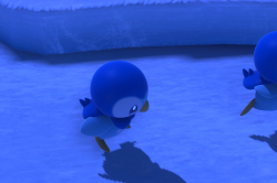 Fotografía de Piplup de ★ en New Pokémon Snap
