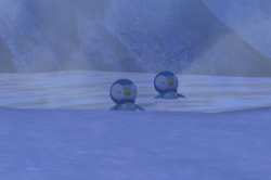 Fotografía de Piplup de ★★★ en New Pokémon Snap