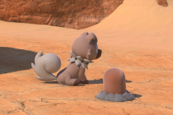 Fotografía de Rockruff de ★★★ en New Pokémon Snap