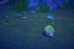 Fotografía de Shaymin de ★ en New Pokémon Snap