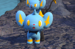 Fotografía de Shinx de ★ en New Pokémon Snap
