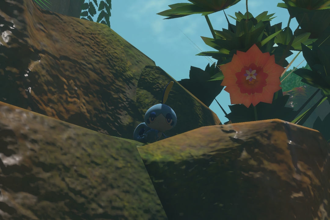 Fotografía de Sobble de ★ en New Pokémon Snap