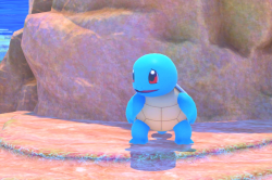 Fotografía de Squirtle de ★ en New Pokémon Snap