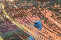 Fotografía de Squirtle de ★★★★ en New Pokémon Snap