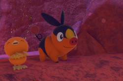 Fotografía de Tepig de ★ en New Pokémon Snap