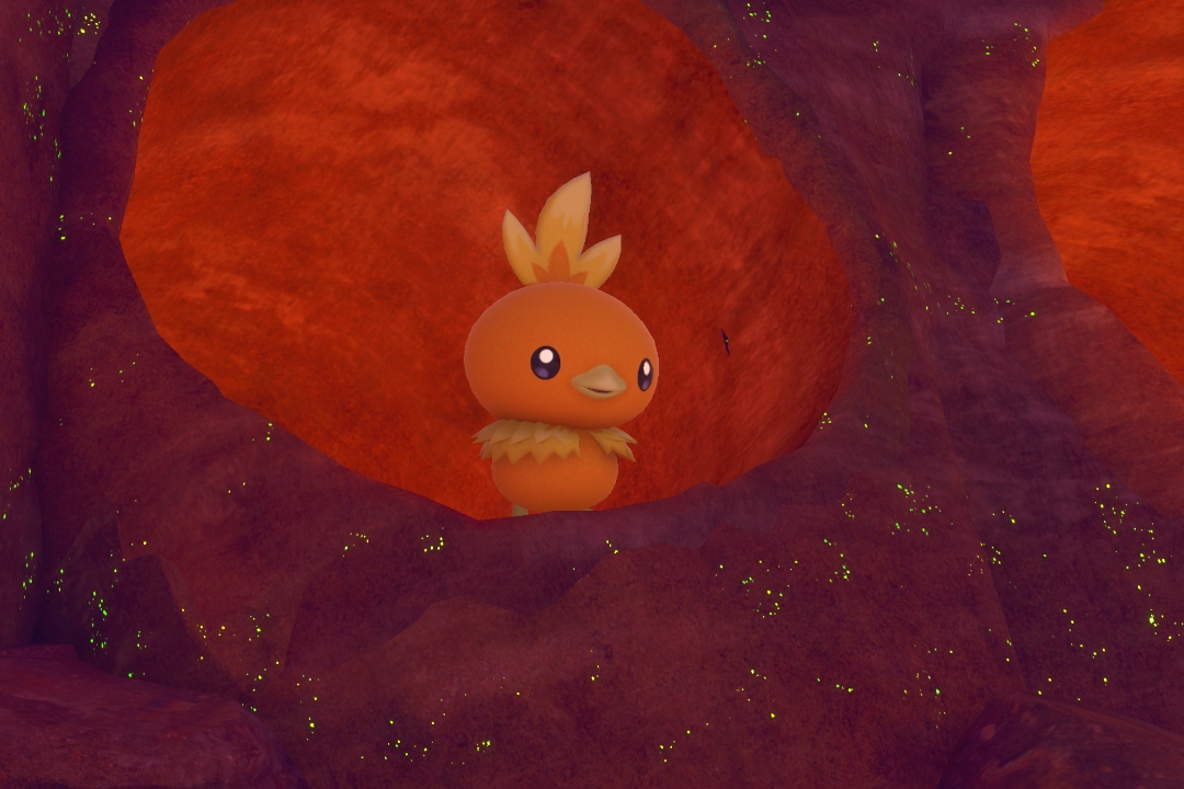 Fotografía de Torchic de ★ en New Pokémon Snap