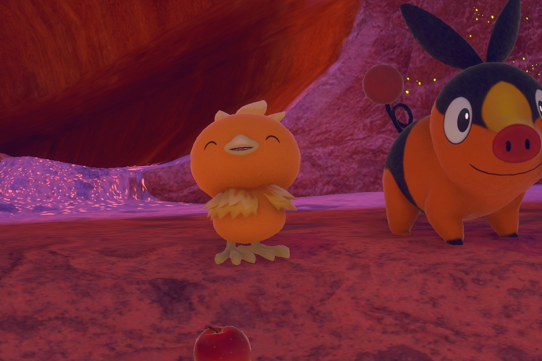 Fotografía de Torchic de ★★ en New Pokémon Snap