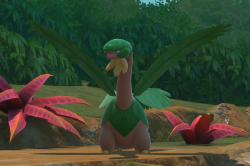 Fotografía de Tropius de ★ en New Pokémon Snap