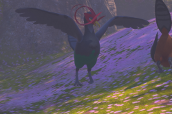 Fotografía de Unfezant de ★★★ en New Pokémon Snap