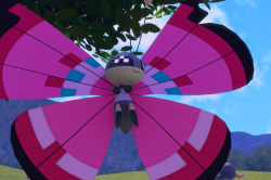 Fotografía de Vivillon de ★ en New Pokémon Snap