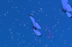 Fotografía de Vivillon de ★★★ en New Pokémon Snap