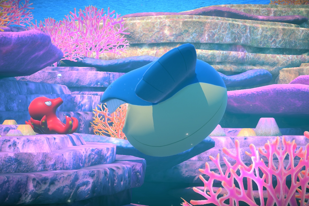 Fotografía de Wailmer de ★★★ en New Pokémon Snap