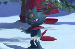 Fotografía de Weavile de ★★ en New Pokémon Snap