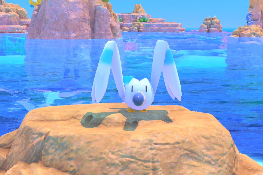 Fotografía de Wingull de ★ en New Pokémon Snap