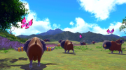 New Pokémon Snap