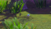 New Pokémon Snap