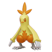 Combusken