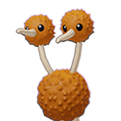 Doduo