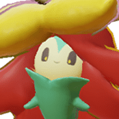 Gossifleur