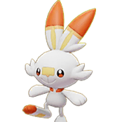 Scorbunny