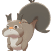 Skwovet