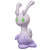 Sliggoo