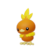 Torchic