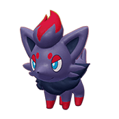 Zorua