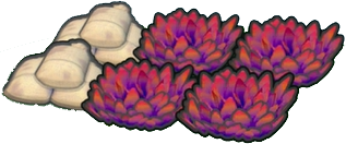 Herbazal de entrenamiento