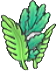 Algas frondosas