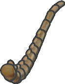 Cola de fósil alado